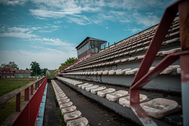 如果没有他 如果没有他