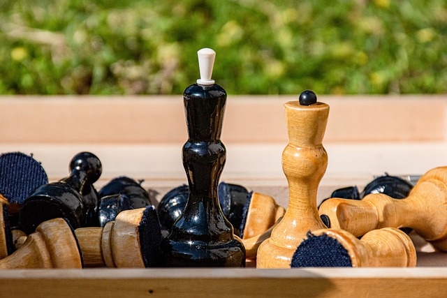 而皇家社會 而皇家社會