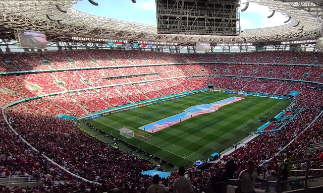 本的男子球 本的男子球