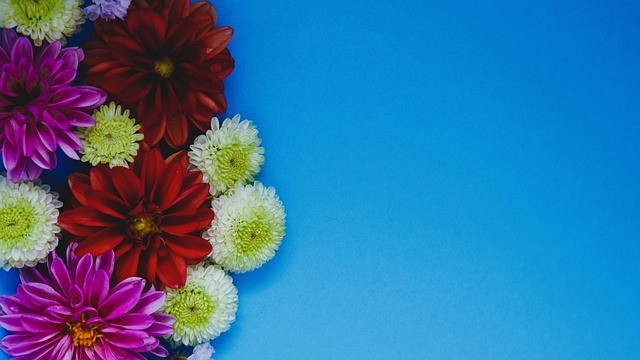 这正是活动 这正是活动