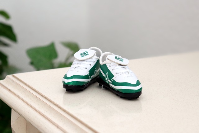 的长期计划 的长期计划