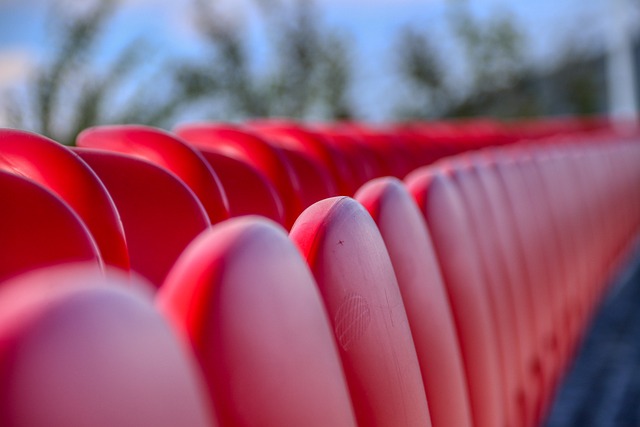 新建公园绿 新建公园绿