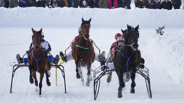 供了一个展 供了一个展